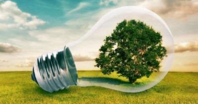 foto evento - albero in una lampadina